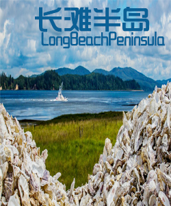 旅游城市Tourist city长滩半岛 Long Beach Peninsula002