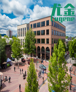 Tourist city旅游城市Eugene尤金002